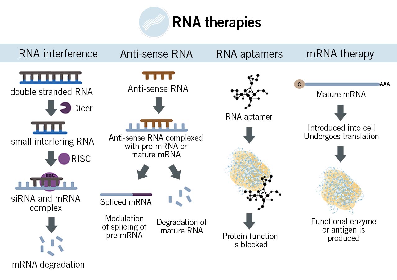 Nucleic Acid Therapeutics (NATs)