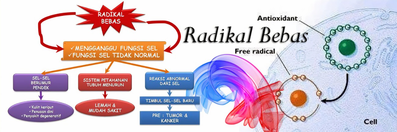 Mengungkap Bahaya Radikal Bebas: Ancaman Tersembunyi bagi Kesehatan