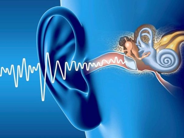 Tinitus (Tinnitus): Penjelasan Lengkap dari Sudut Pandang THT dan Audiologi